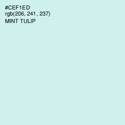 #CEF1ED - Mint Tulip Color Image